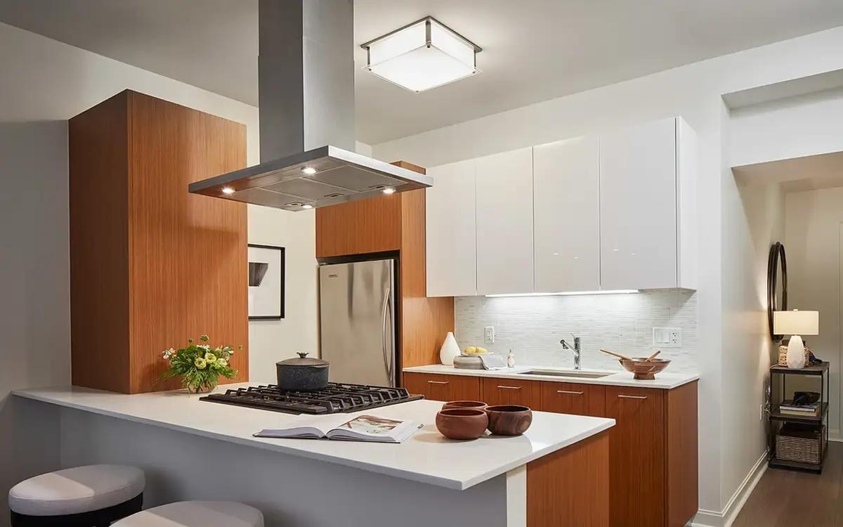 undefined apartments for rent - image - 3.webp